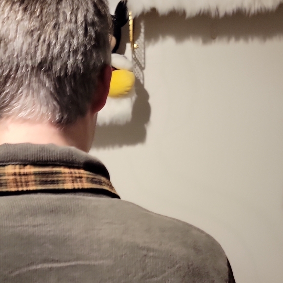 Plaid Sherpa-Lined Jacket - Picture 7 of 7